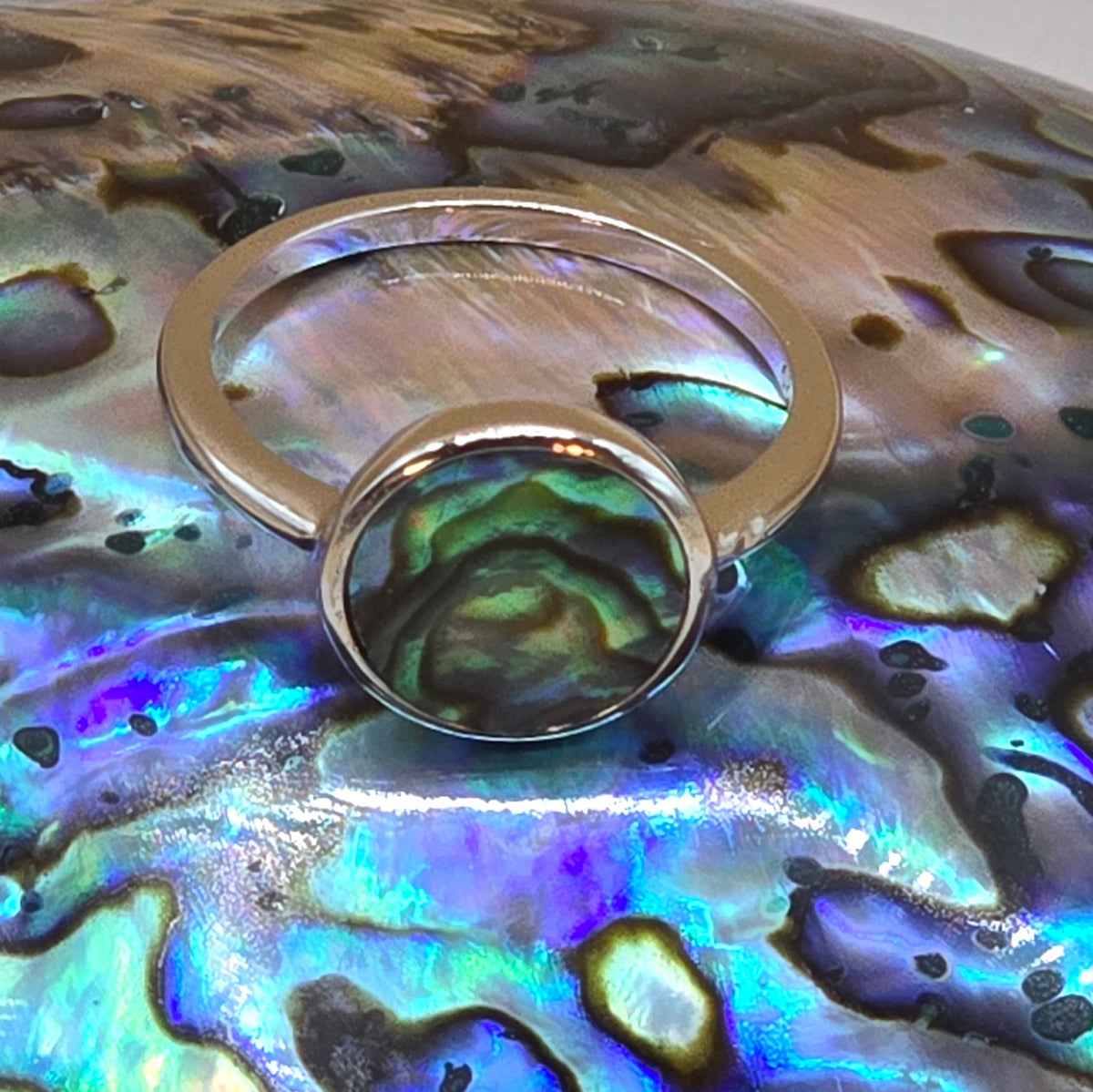 Damen Ring Silber Abalone rund DAVUTA liegend