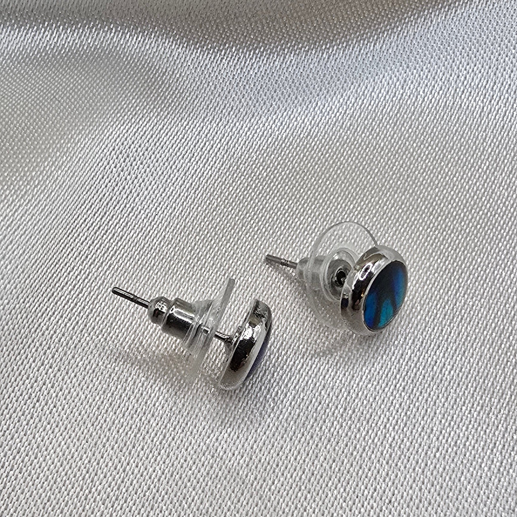 Ohrstecker Damen mit Abalone rund