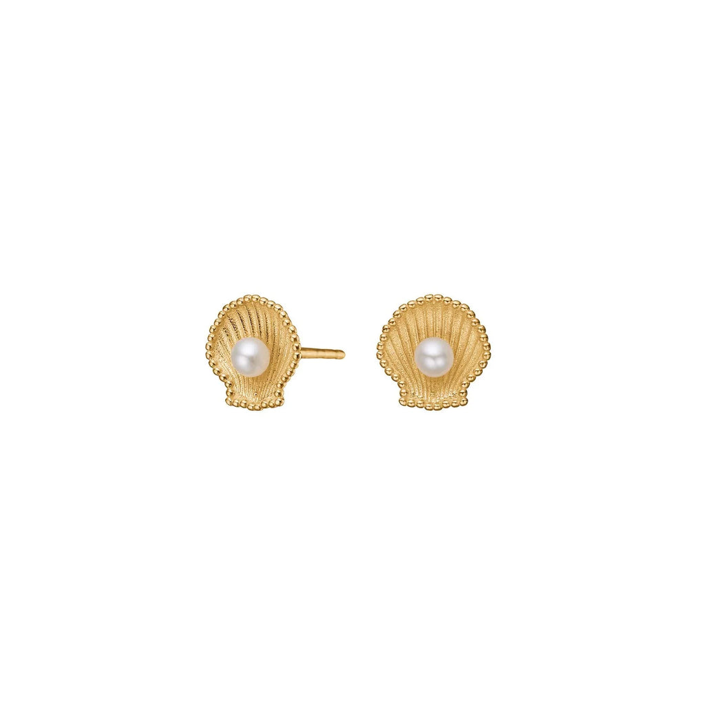Damen Ohrring / Conchiglia d'Oro / 8 K (333) Gold / schlicht + elegant