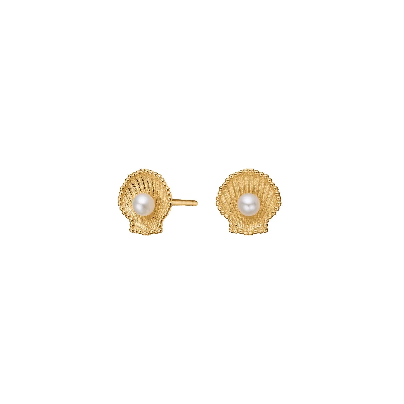 Damen Ohrring / Conchiglia d'Oro / 8 K (333) Gold / schlicht + elegant