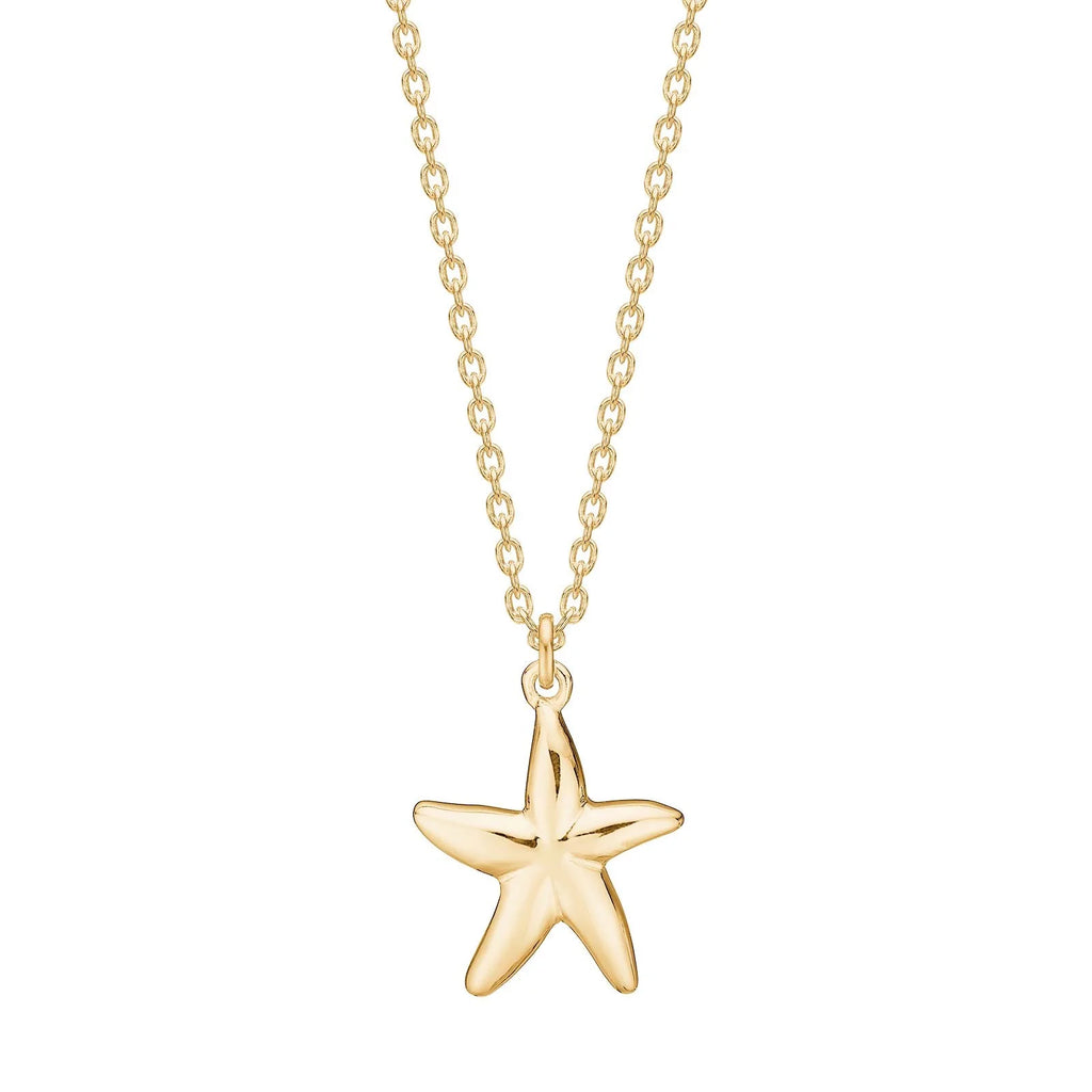 Damen Kette mit Seestern / Stella Marina / 925er Silber vergoldet / maritim elegant