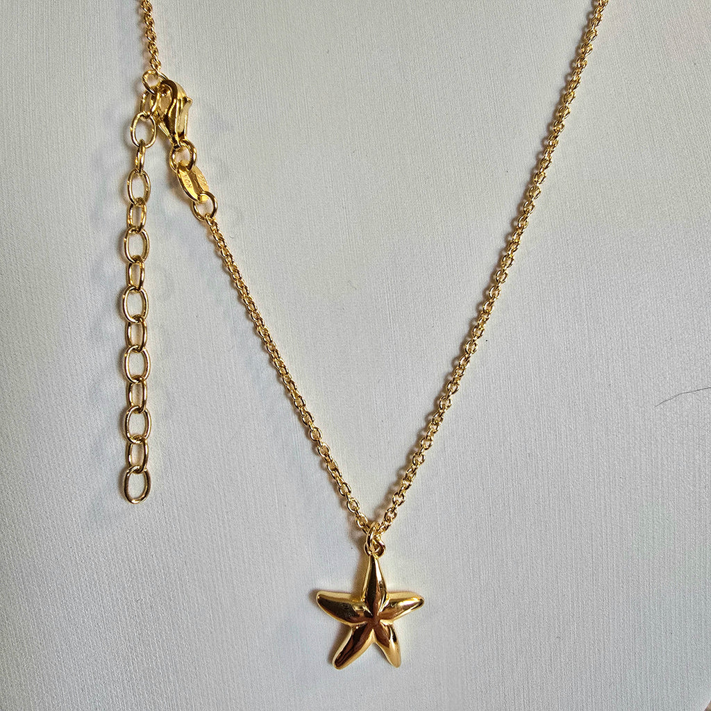 Damen Kette mit Seestern / Stella Marina / 925er Silber vergoldet / maritim elegant